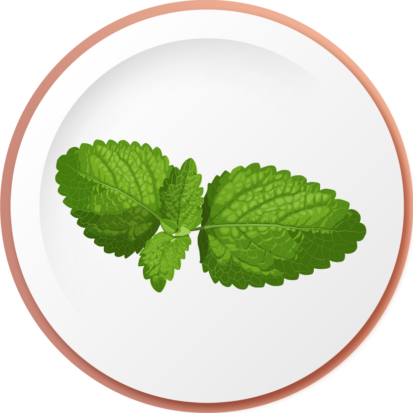 breastfeeding (how-to-eat)0505-basil