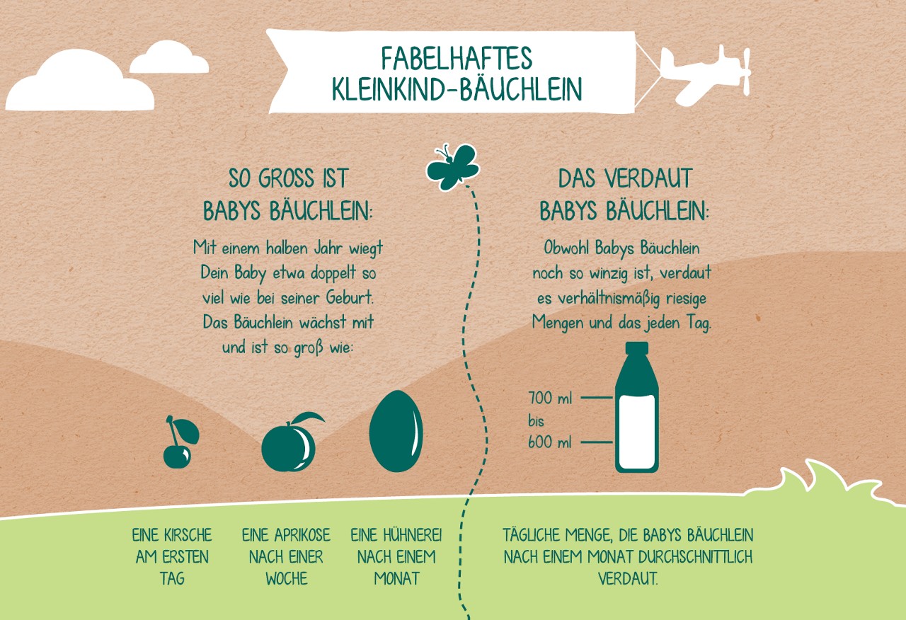 Infografik Kleinkindbauch