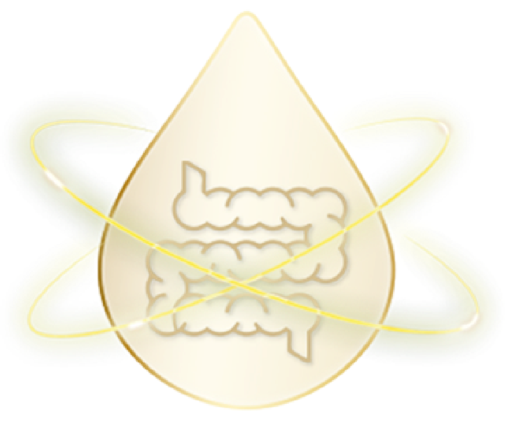 AMPRO-launch-icon-16