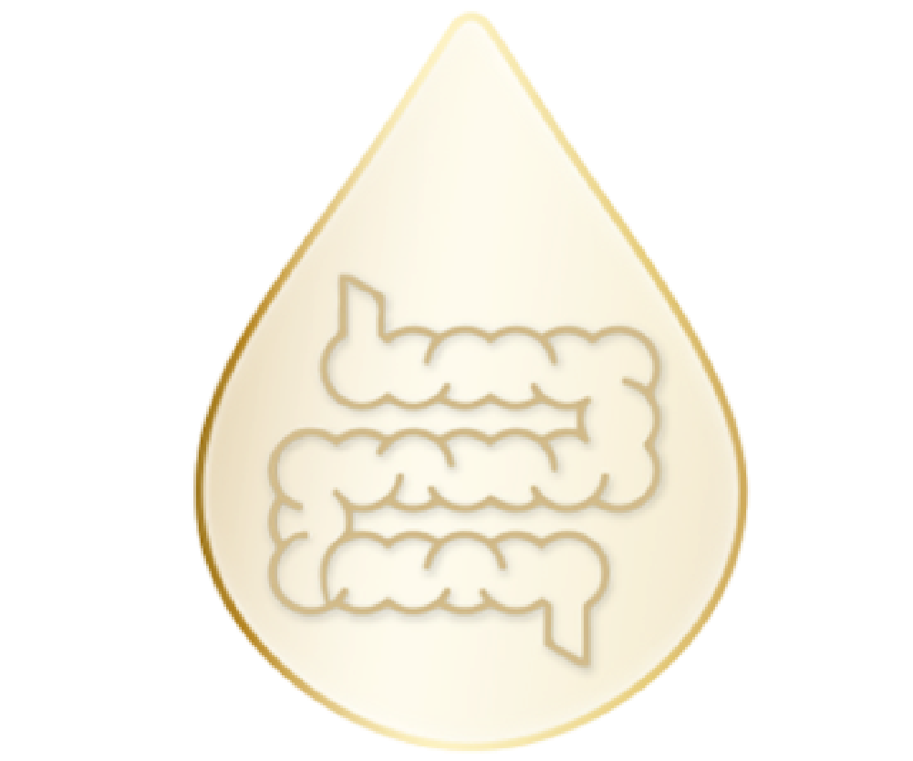 AMPRO-launch-icon-17