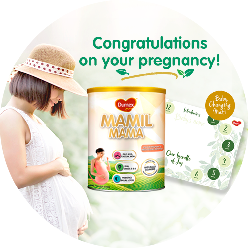 Dumex Mamil Mama Pregnancy Banner