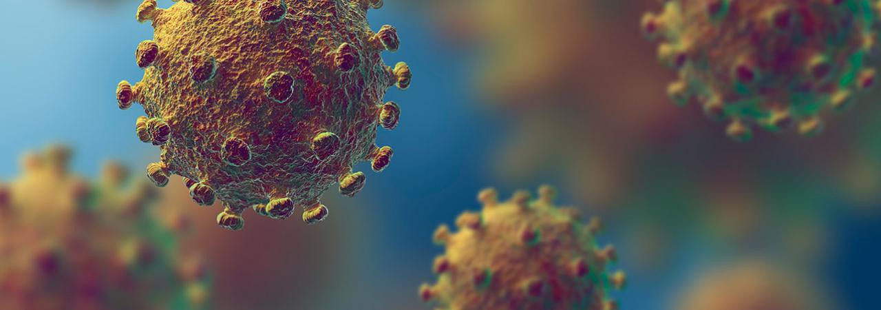 Imunidade e coronavirus por que a alimentacao saudavel e importante durante uma pandemia