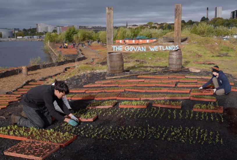 Advancing actions for wetlands