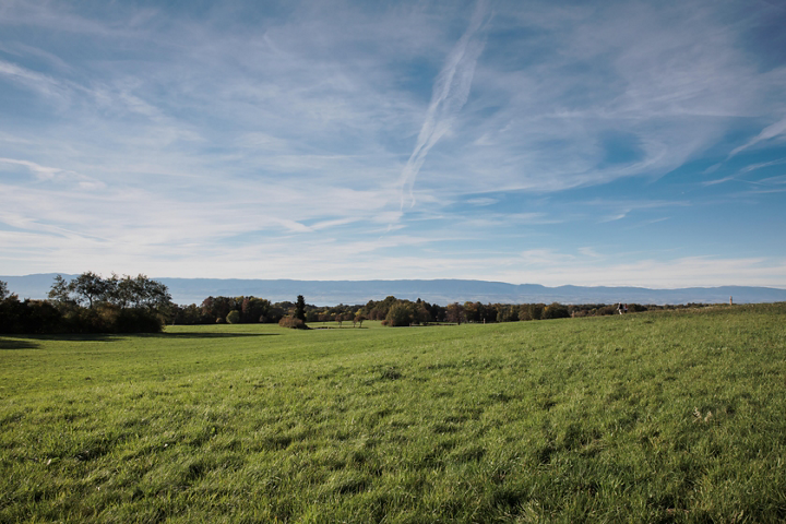 Regenerative Agriculture Danone
