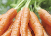 Apple and Carrot Soup Recipe
