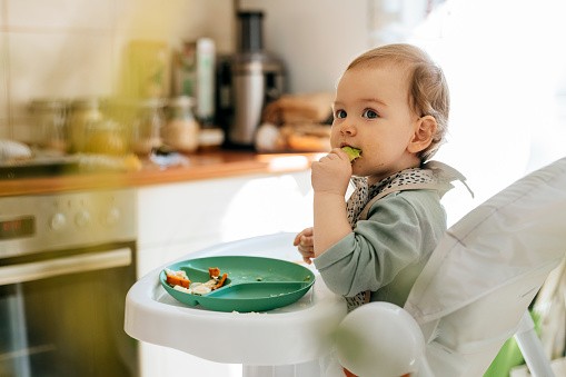 toddler eating from a plate at a highchair