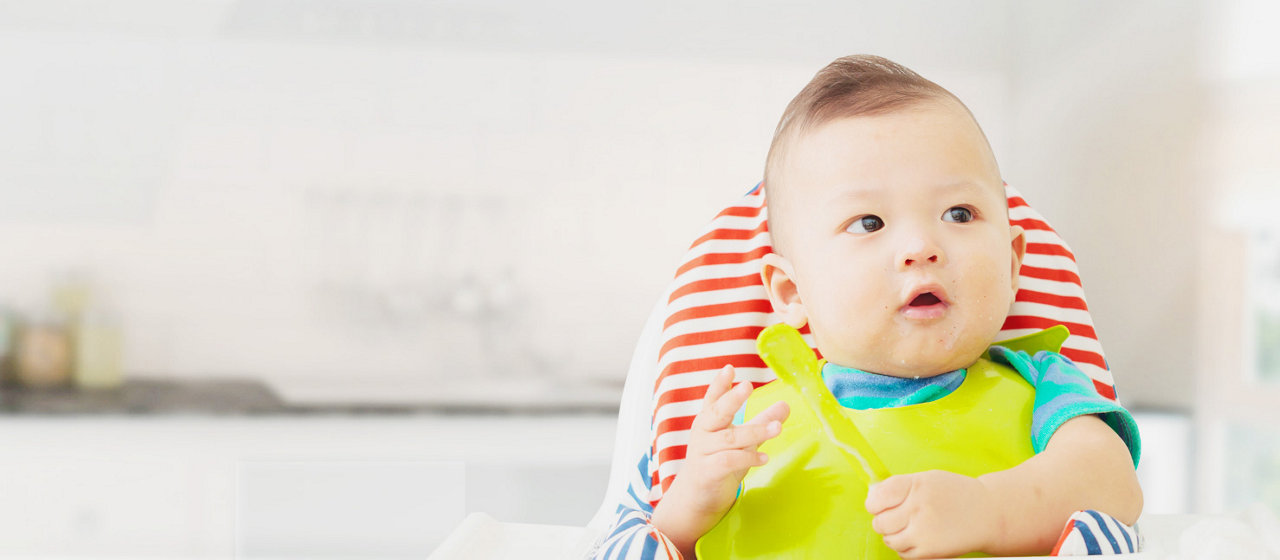 The foods and feeding guide for first year baby