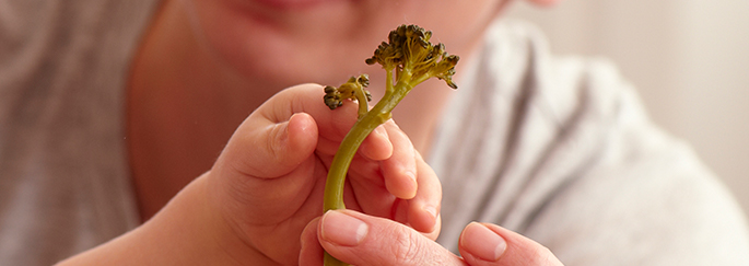 Email Promo Toddler Iron Intake