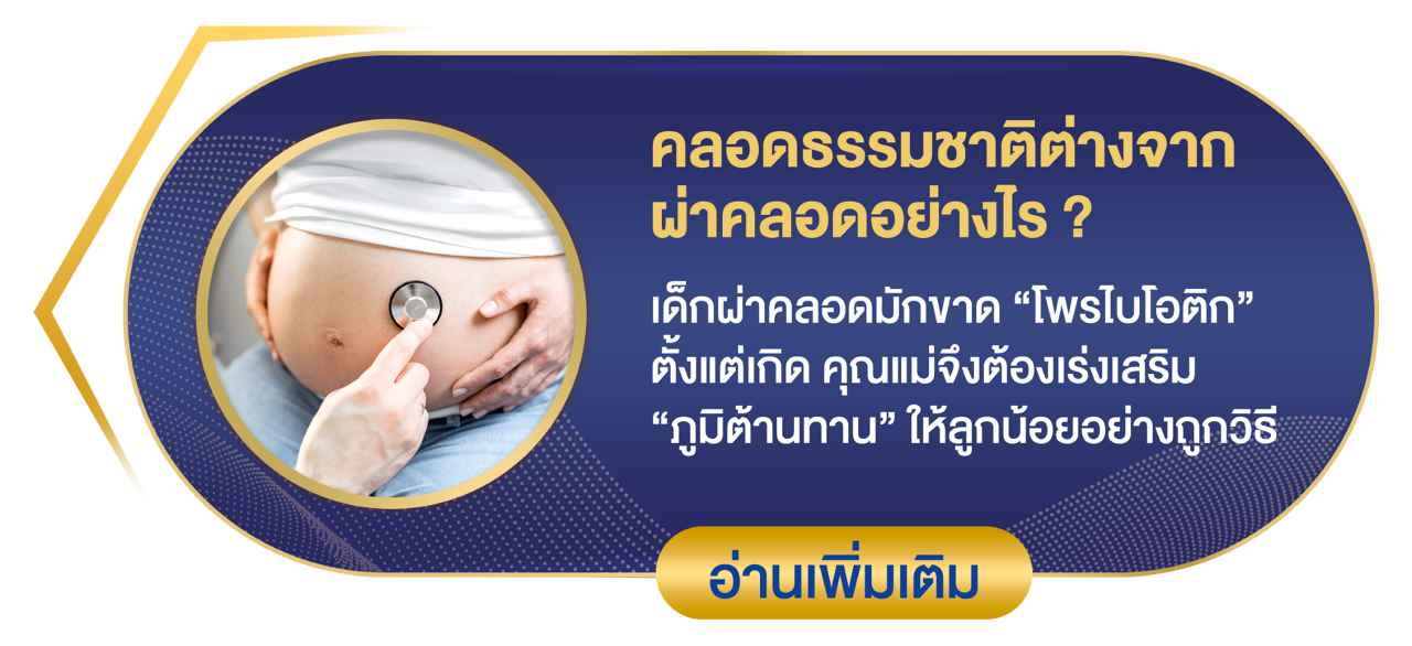 final_button_hiq_sg_plusc_draft6_02.png