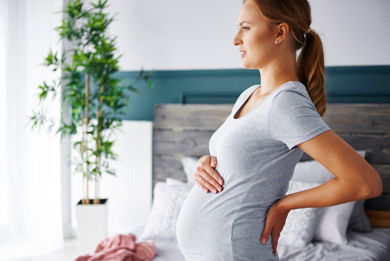 pregnant 8
