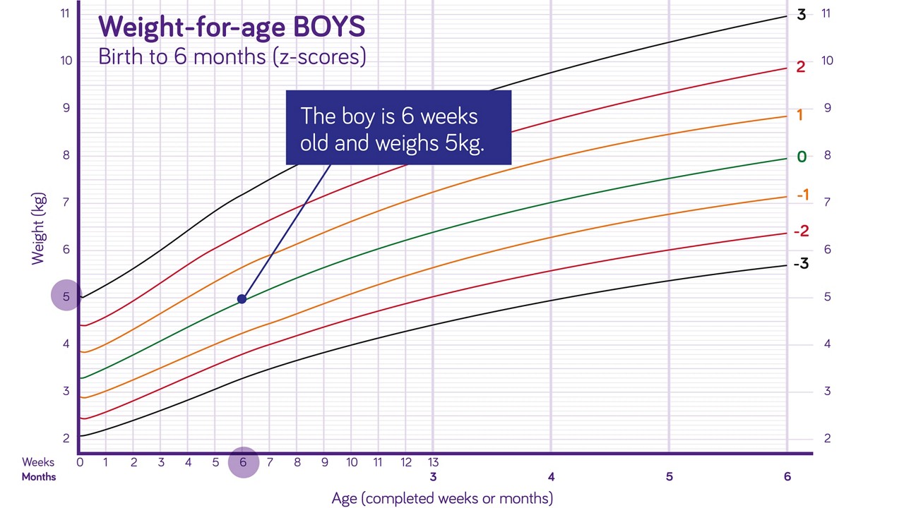 Nutricia pediatric DRM growth graph weight for age boys birth to 6 months
