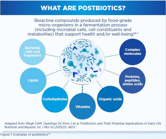 What are postbiotics