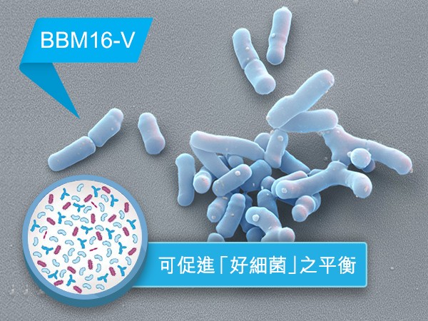 Nutricia research probiotics BBM 16V 3