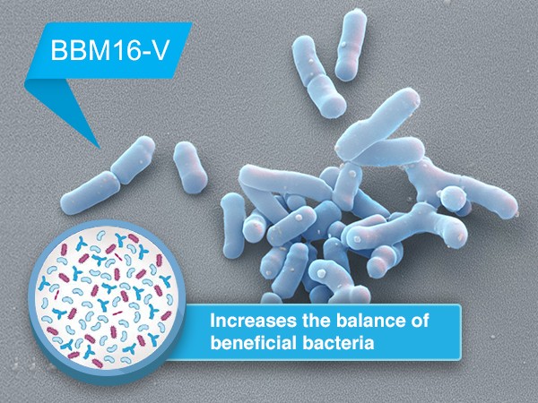 Nutricia research probiotics BBM 16V EN 3