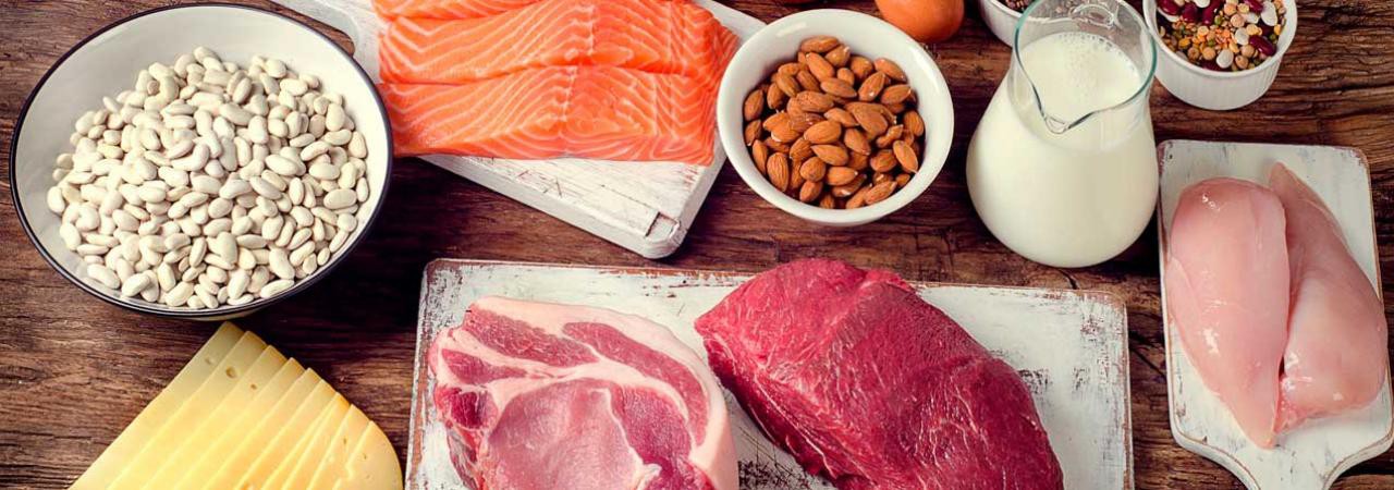 Tipos e fontes de proteínas para uma dieta balanceada
