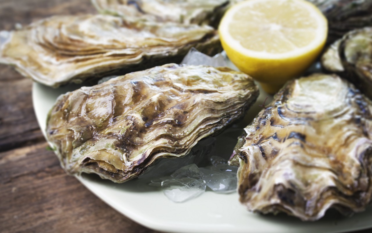 Raw Oysters In Pregnancy