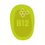 tbl-vitaminb12.png