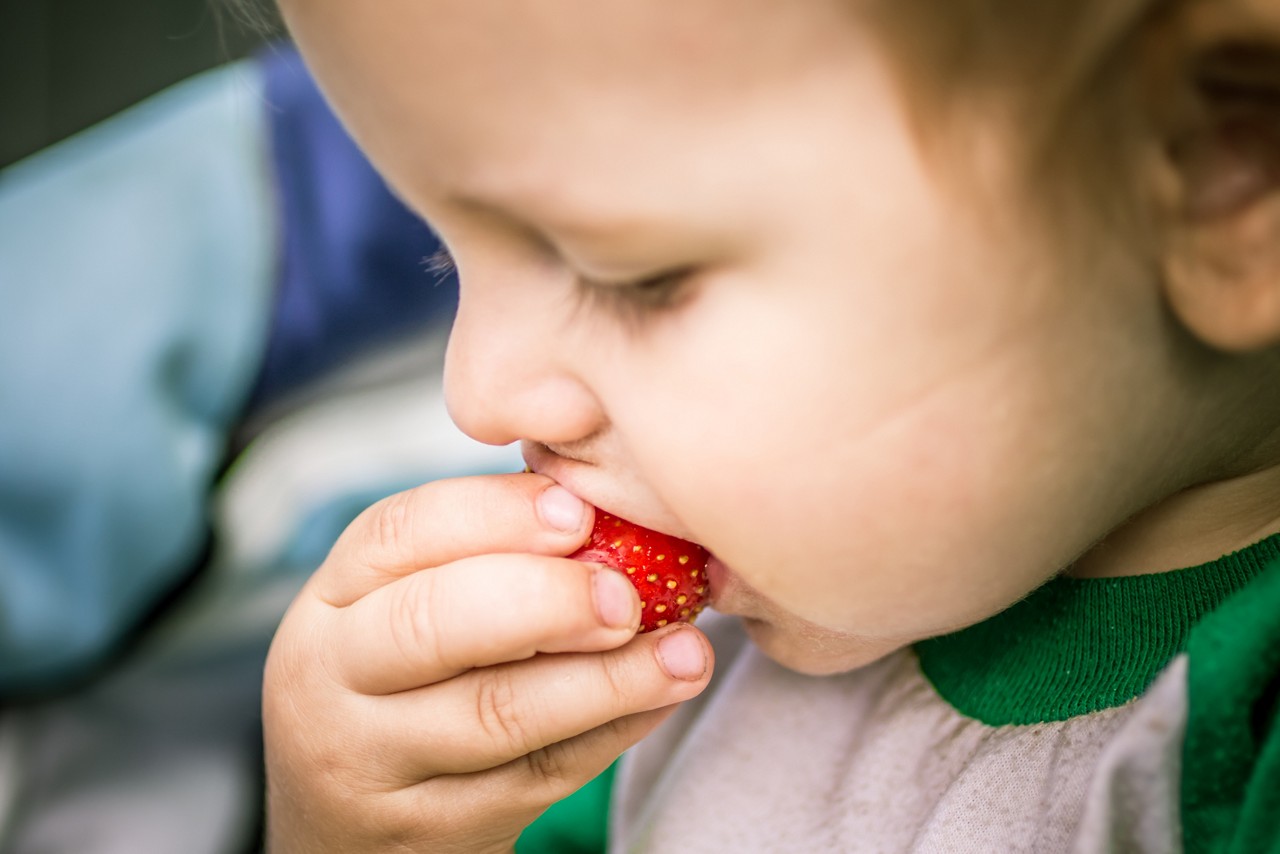 Toddler eating strawberry