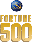 Fortune 500 logo, Dumex a part of Danone