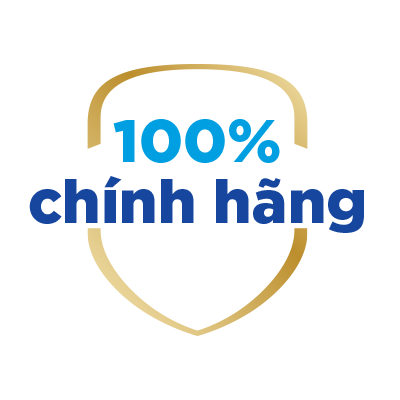 vn icon chinh hang