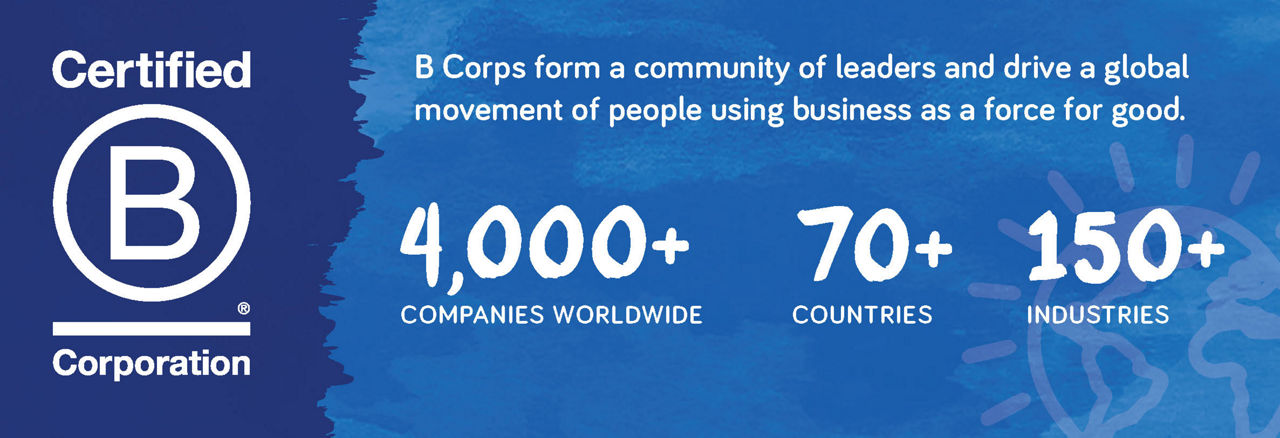 Danone at a Glance B Corp Banner