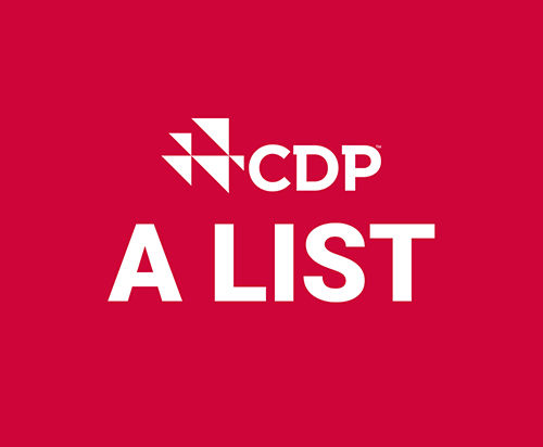 CDP Climate disclosure