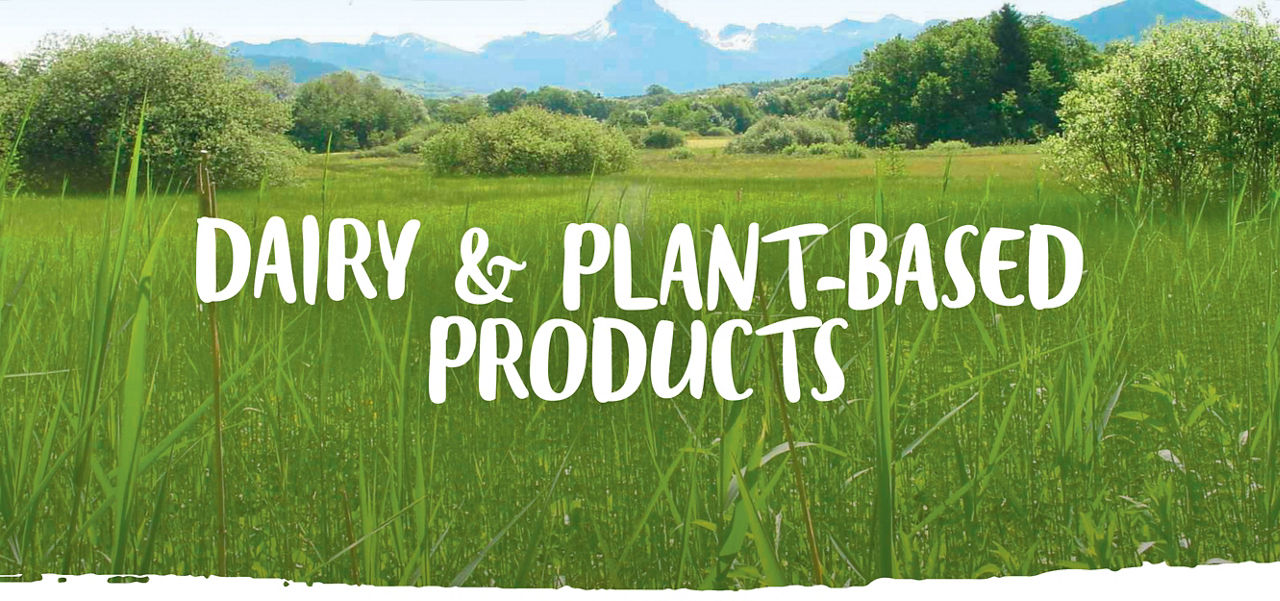 Essential Dairy & Plant-Based Products