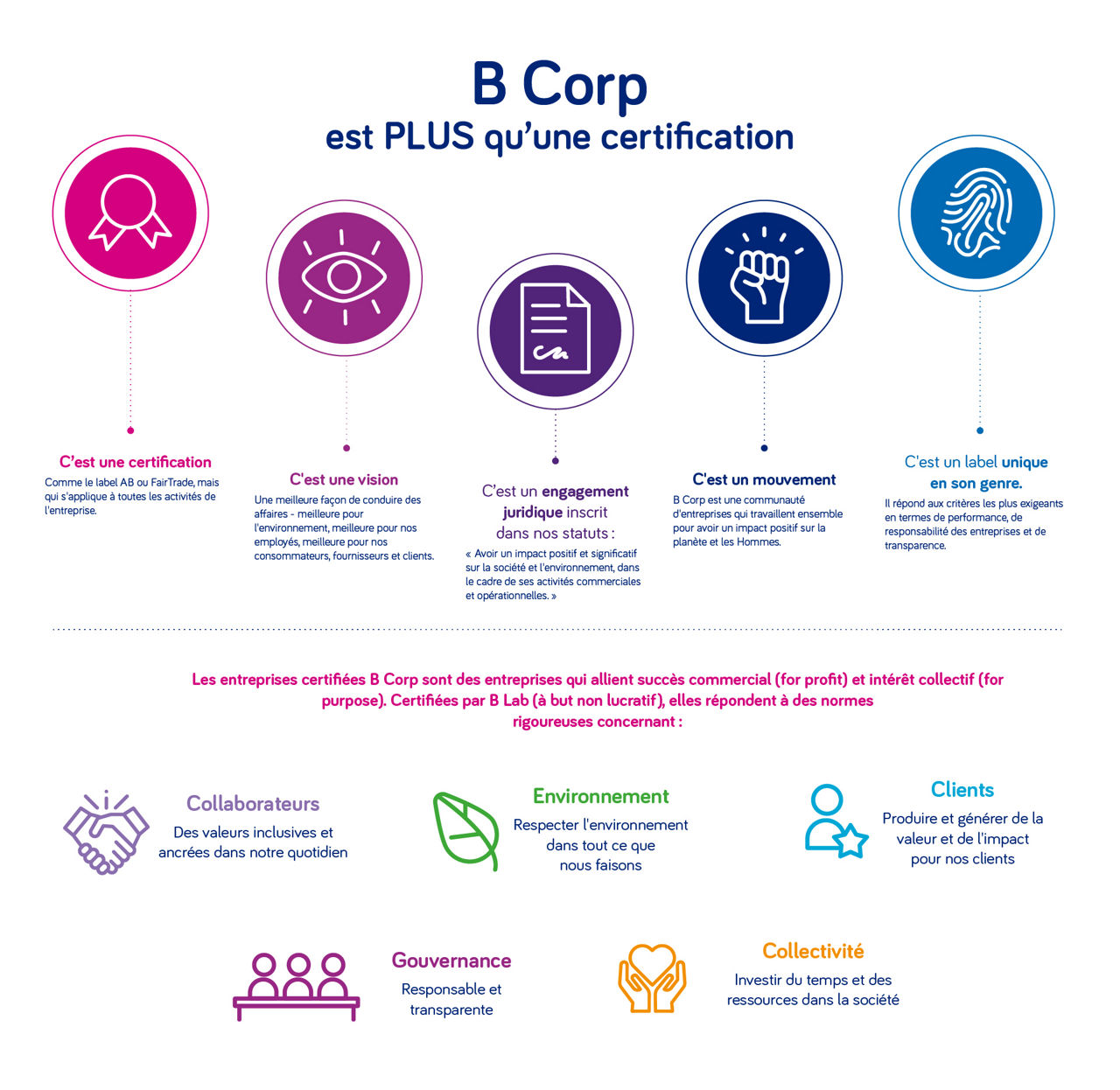 Qu'est-ce que la certification B Corp ? - infographie 