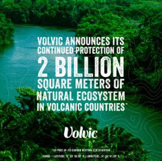 Weltumwelttag 2020: Reden ist Silber. Handeln ist Gold.