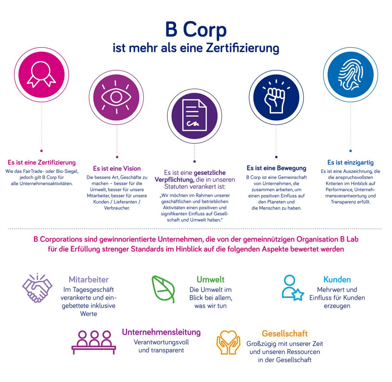Infographik - B Corp ist mehr als eine Zertifizierung