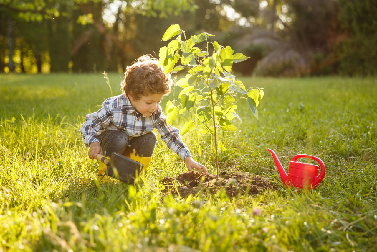 Glückliches Kind wässert einen Baum mit Giesskanne