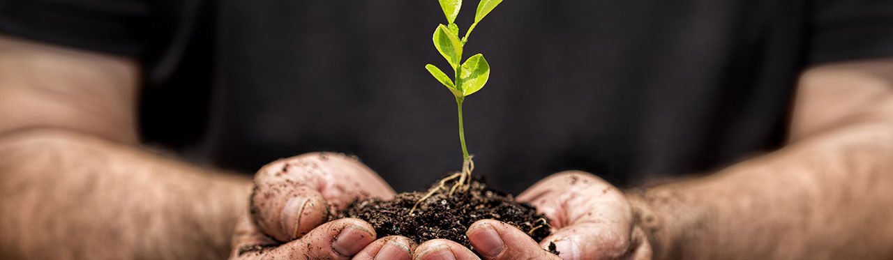 EDP Strategy and Key Figures plant