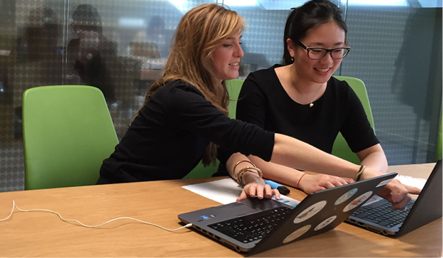 team working with laptops