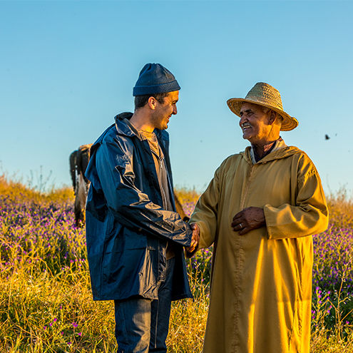 Utopistes & pragmatiques