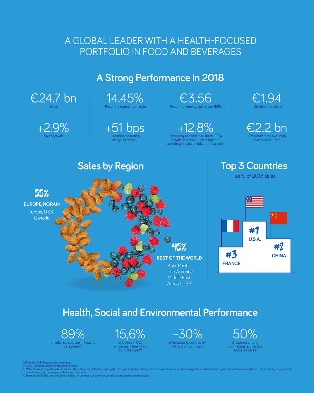 Danone at a glance - performance infography