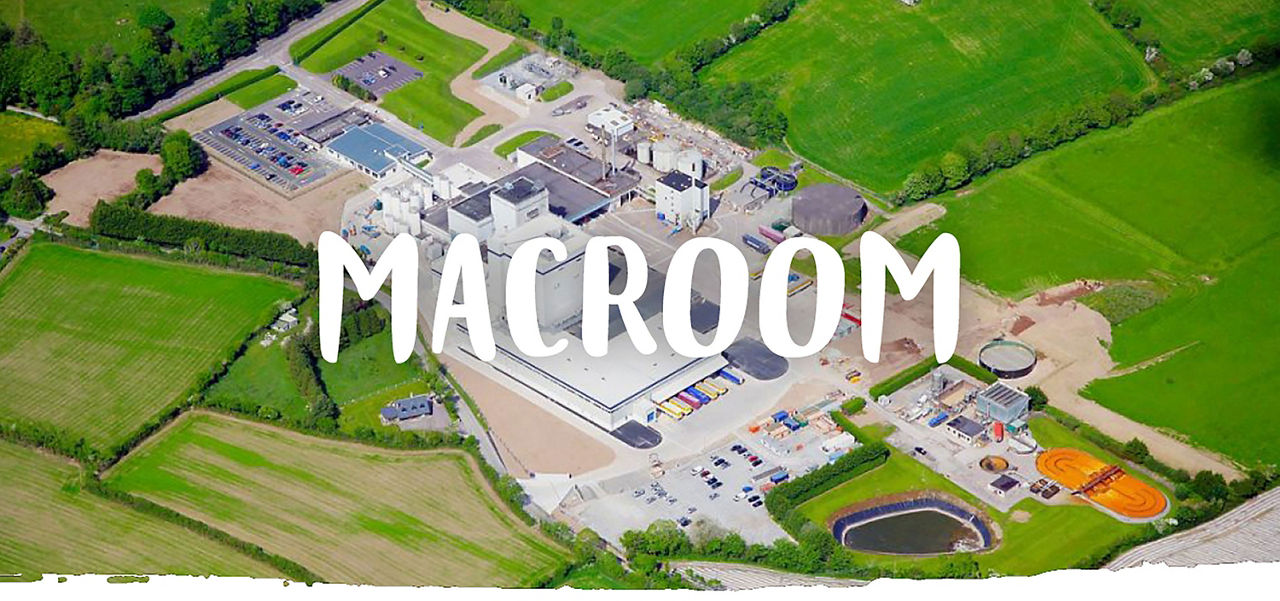 Macroom