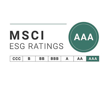 Constituent MSCI Global Sustainability Indexes