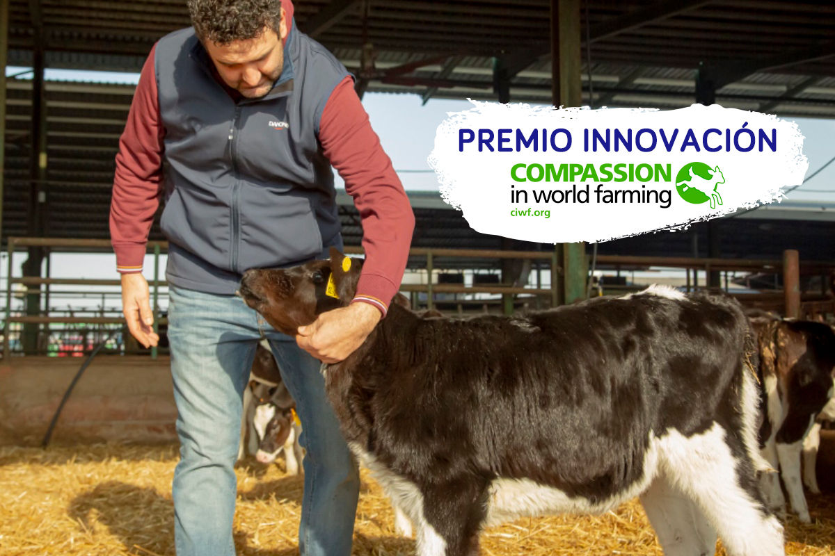 Compassion in World Farming reconoce el compromiso de Danone con el bienestar animal 