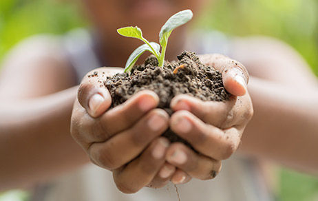 Un business model innovant