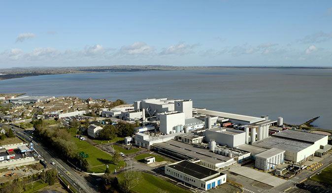 Wexford plant