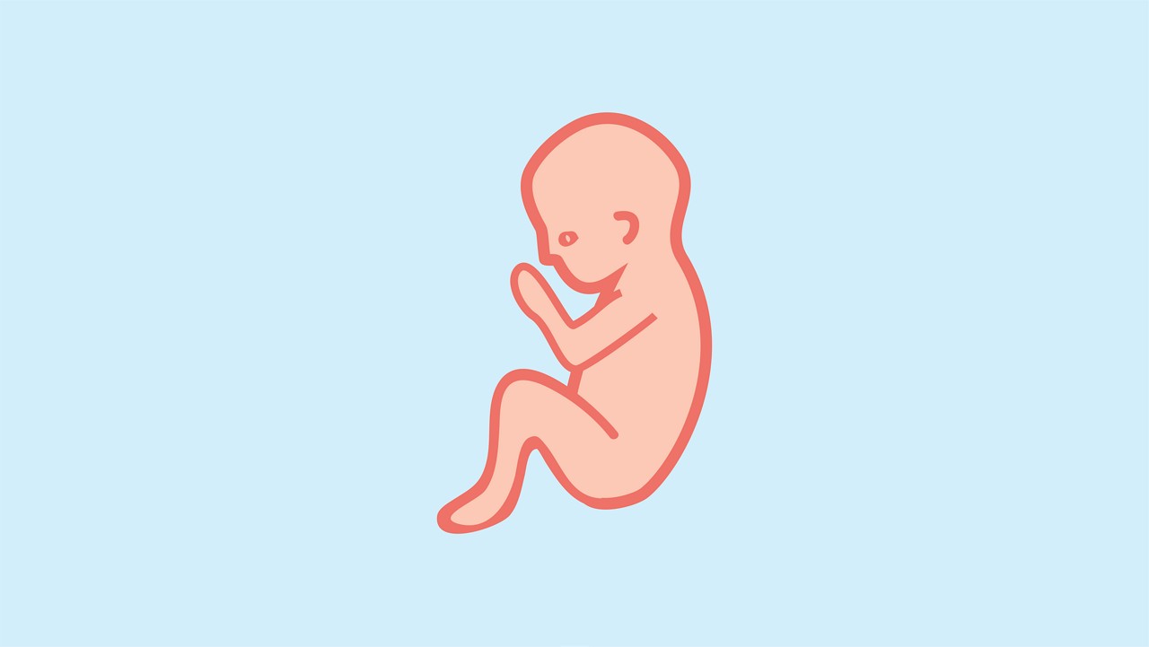 Живот на 19 неделе беременности мальчиком. Беременный мальчик фон. Как движется малыш на 17 неделях.