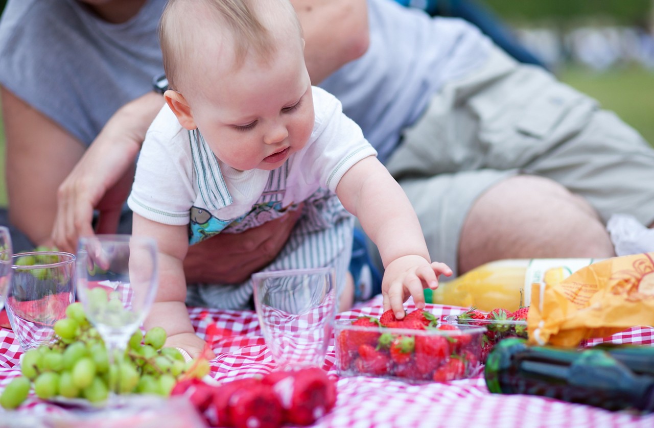 baby first picnic