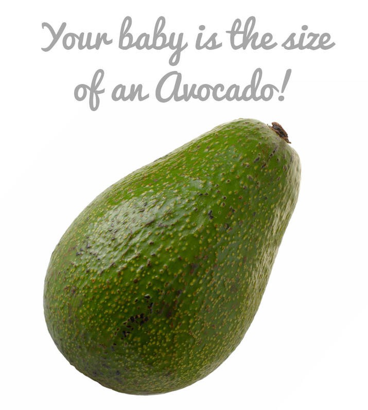 Baby size avocado