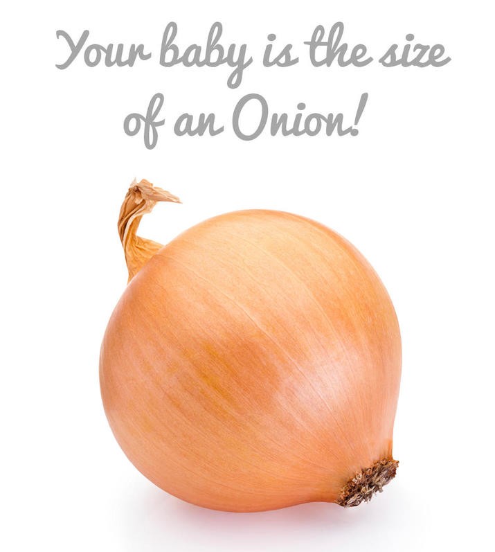 Baby size onion