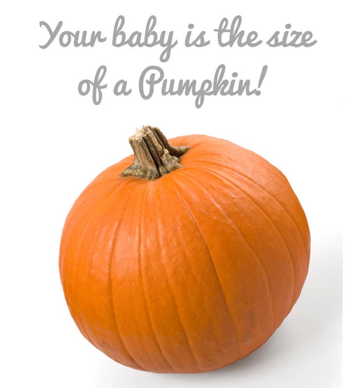 Baby size pumpkin