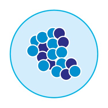 Colic oligosaccharides icon