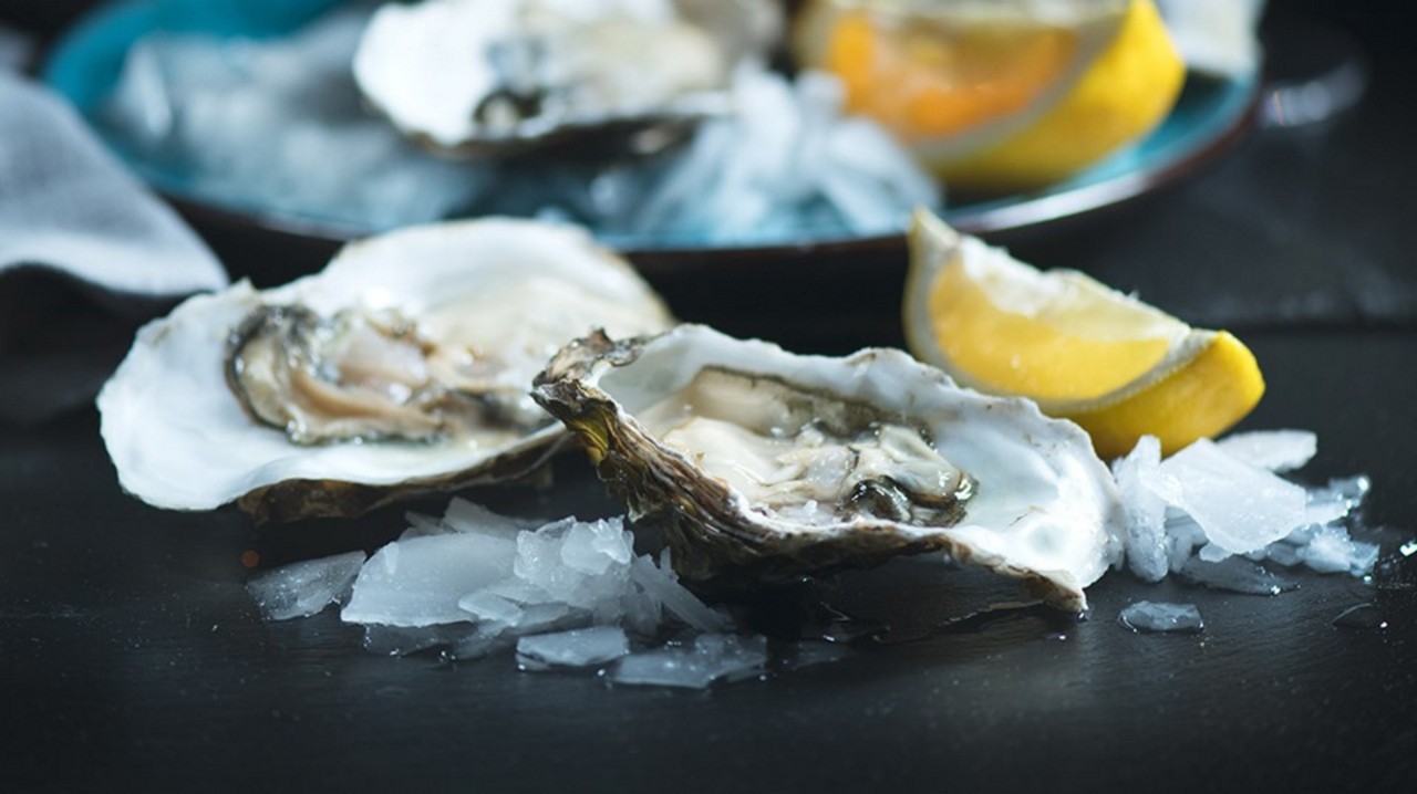 Oysters