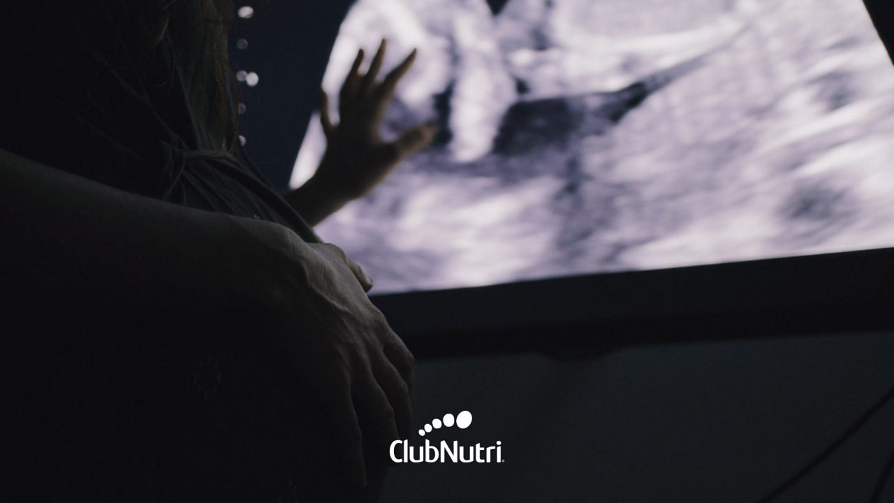 pantalla de radiografía