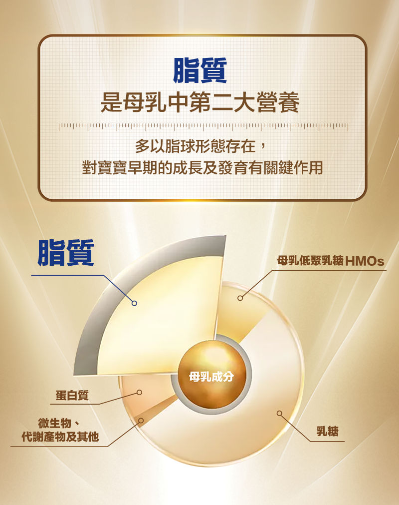 脂質是母乳中第二大營養，多以脂球形態存在，對寶寶早期的成長及發育有關鍵作用。脂質、乳糖、母乳低聚乳糖HMOs、蛋白質、微生物、代謝產物及其他。