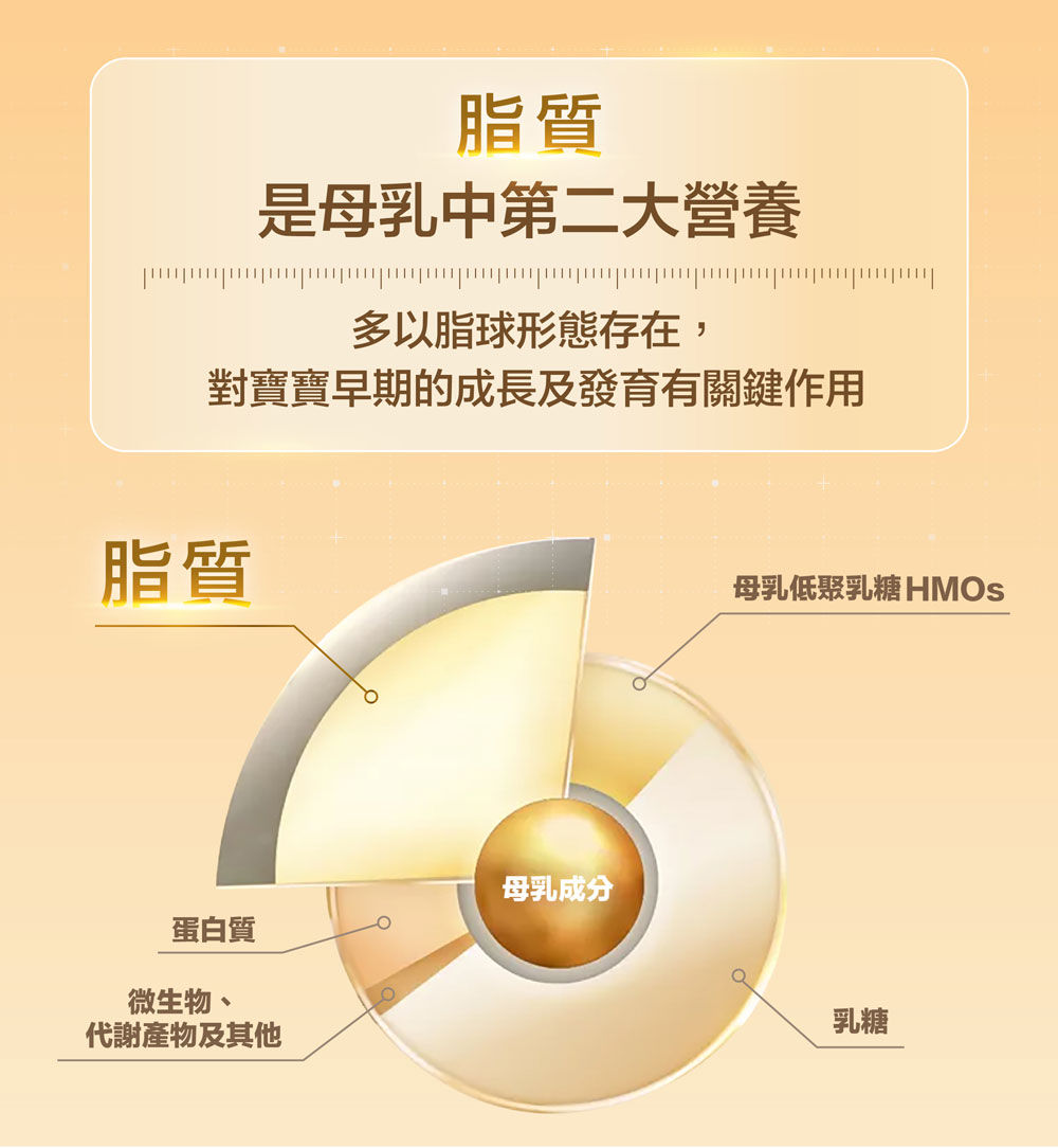 脂質是母乳中第二大營養，多以脂球形態存在，對寶寶早期的成長及發育有關鍵作用。脂質、乳糖、母乳低聚乳糖HMOs、蛋白質、微生物、代謝產物及其他。